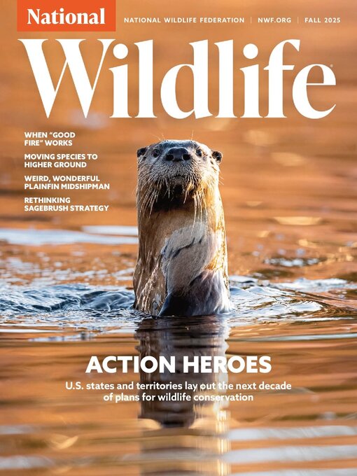 Title details for National Wildlife by National Wildlife Federation - Available